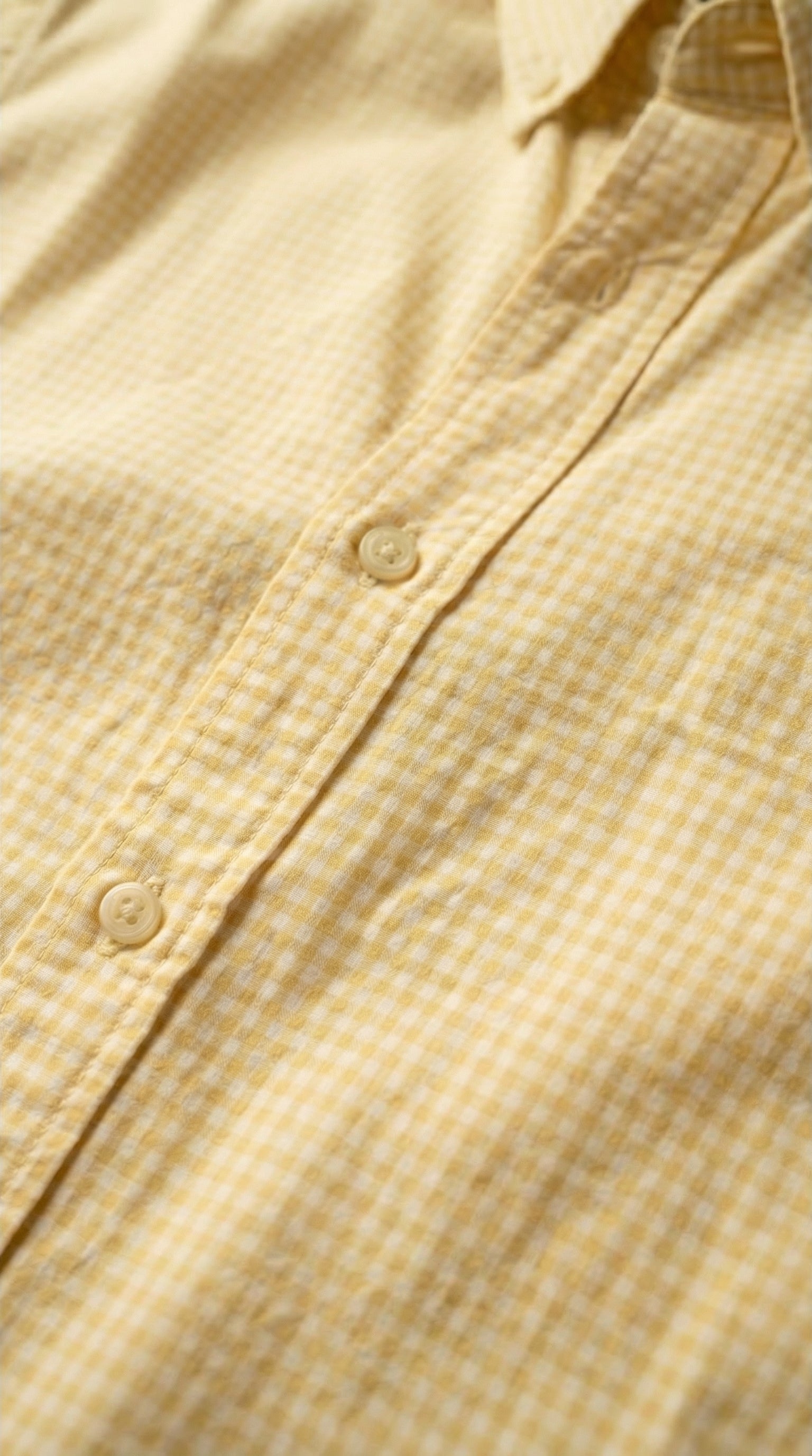 Slim Fit Micro Checks Shirt